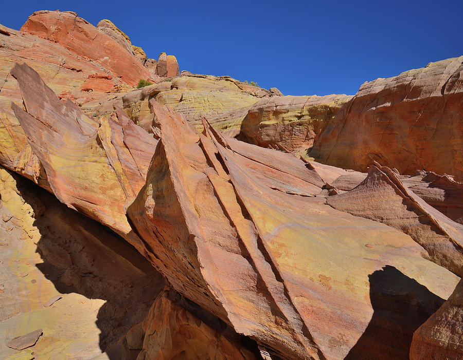 Rainbow Colors in Wash 3 of Valley of Fire Photograph by Ray Mathis