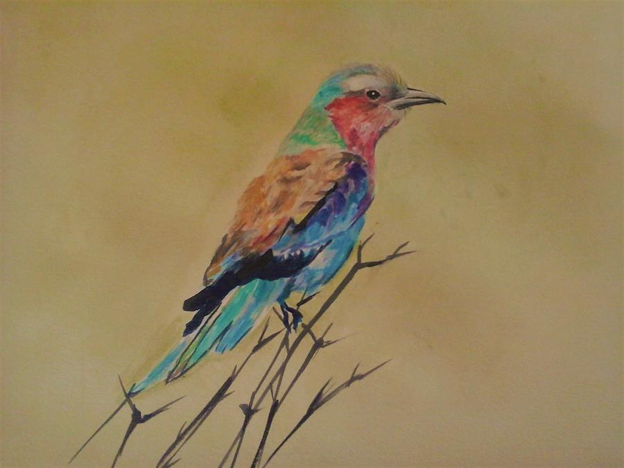 Bird Painting - Rainbow colors. by Khalid Saeed