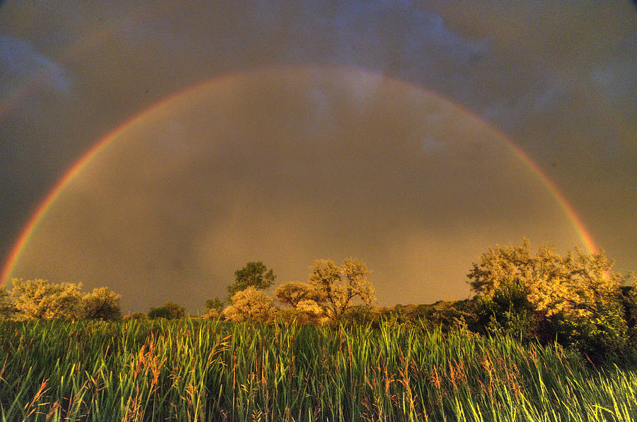 Rainbow by Dave Rennie Rainbow by Dave Rennie