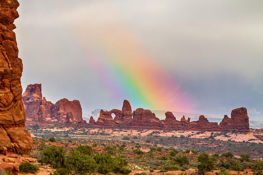 Rainbow Down Photograph by James BO Insogna