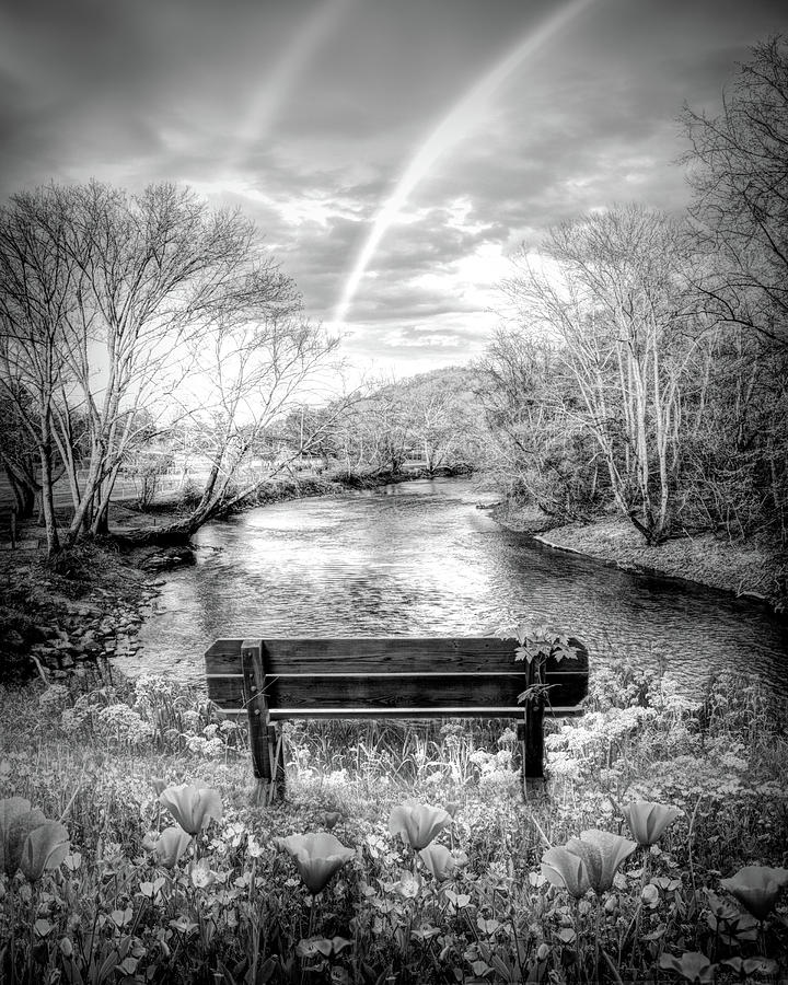 Rainbow Dreams in Painterly Black and White Photograph by Debra and Dave Vanderlaan