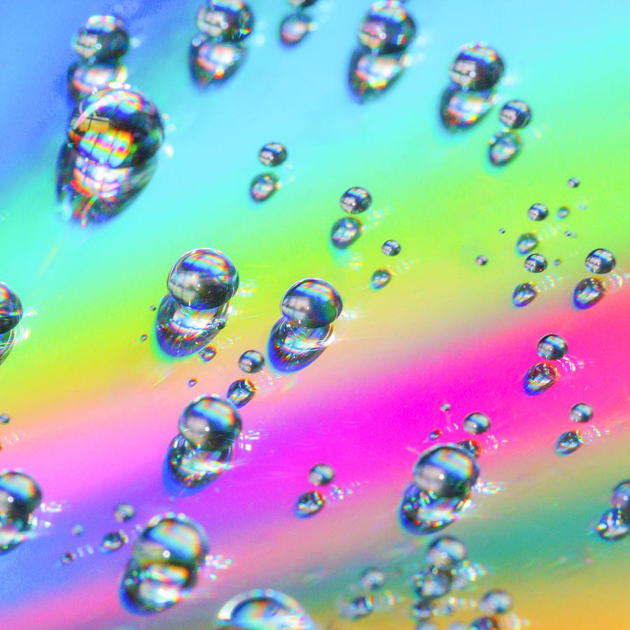 Rainbow Drops Photograph by Samantha Shroyer - Fine Art America