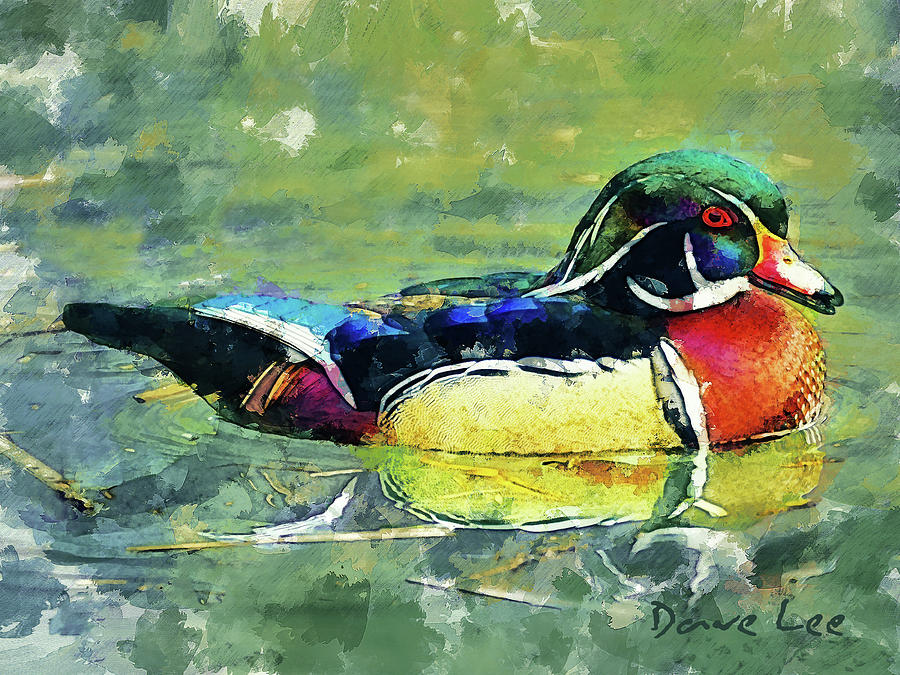 Rainbow Duck Mixed Media by Dave Lee