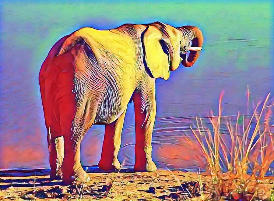 Rainbow Elephant  Photograph by Gini Moore