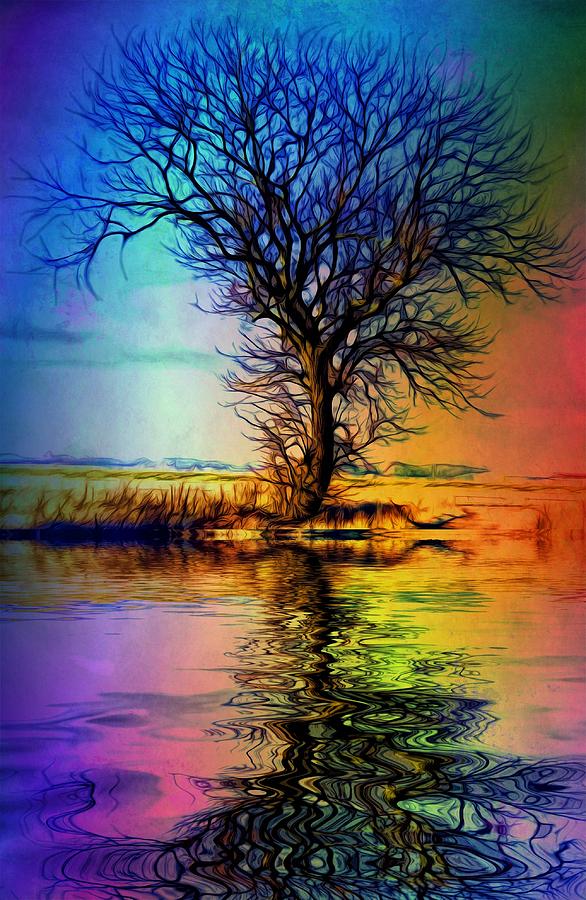 Nature Digital Art - Rainbow fall over... by Lilia S