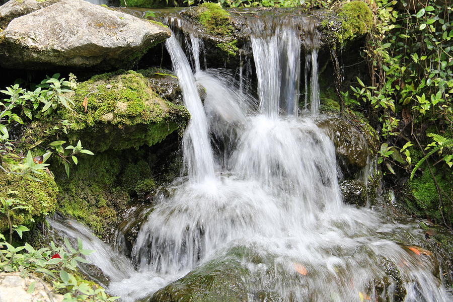 Rainbow falls florida Photograph by Helene Toro - Fine Art America