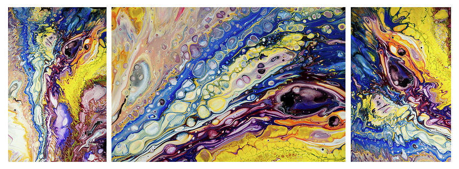 Rainbow Feathers Triptych. Fluid Acrylic Painting Painting by Jenny Rainbow
