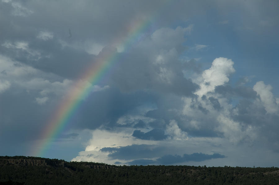 Landscape Photograph - Rainbow by Fern Logan Landscape Photograph - Rainbow by Fern Logan