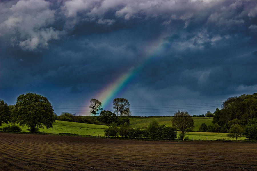 Landscape Photograph - Rainbow Fields by Martin Newman