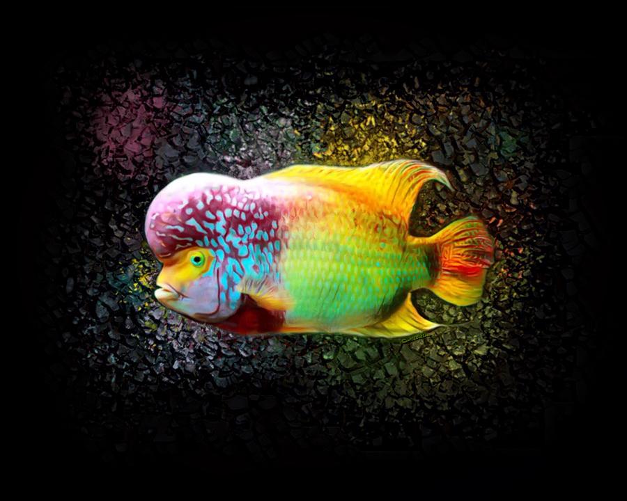 Fish Digital Art - Rainbow Flowerhorn Cichlid 001 by Scott Wallace Digital Designs