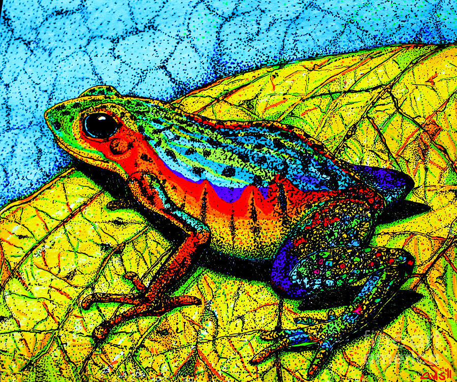 Rainbow Frog Drawing