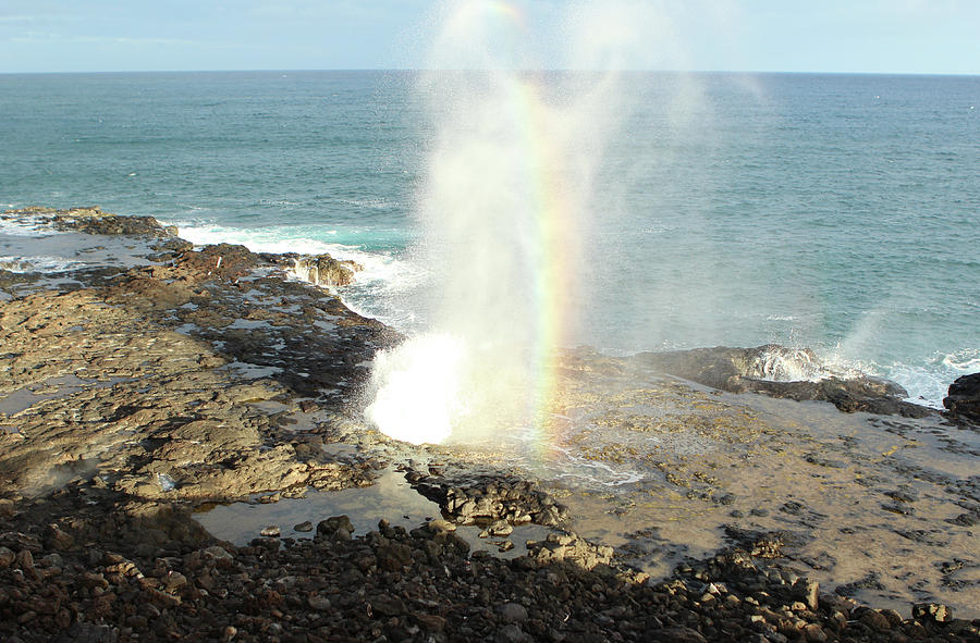 Rainbow Goddess Photograph by Tammy Sullivan - Fine Art America