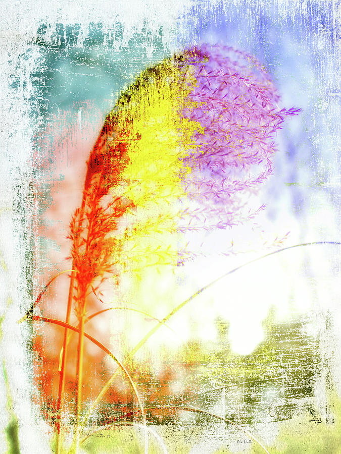 Nature Photograph - Rainbow Grass by Bob Orsillo