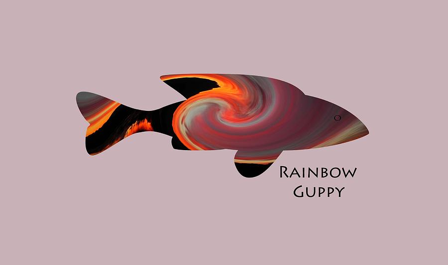 Rainbow Guppy Photograph by Whispering Peaks Photography