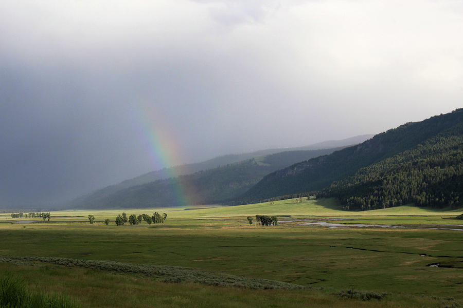 Rainbow Hayden Valley Yellowstone USA Photograph by Bob Savage