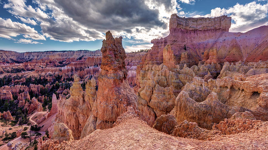 Into The Wild Photograph - Rainbow Hoodoos of Bryce Canyon by Pierre Leclerc Photography