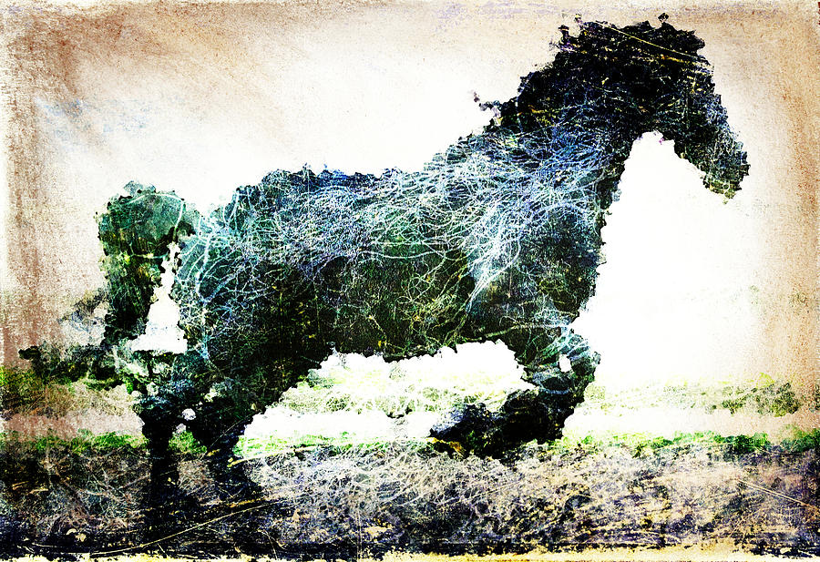 Rainbow Horse Digital Art by Andrea Barbieri