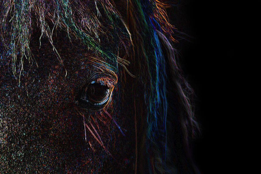 Rainbow Horse Eye Photograph by Larah McElroy