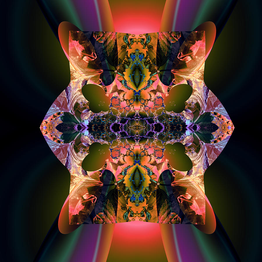 Abstract Digital Art - Rainbow hydranga abstraction by Claude McCoy