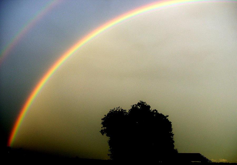 Rainbow In Heaven Photograph