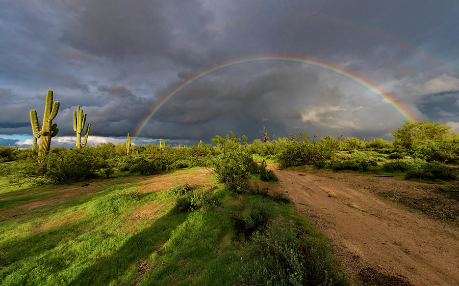 Rainbow in Scottsdale Photograph by Roni Chastain