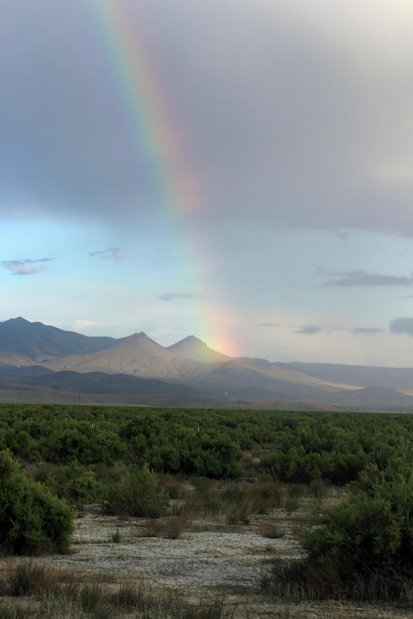 Rainbow in the Desert by Jodi Vetter Rainbow in the Desert by Jodi Vetter