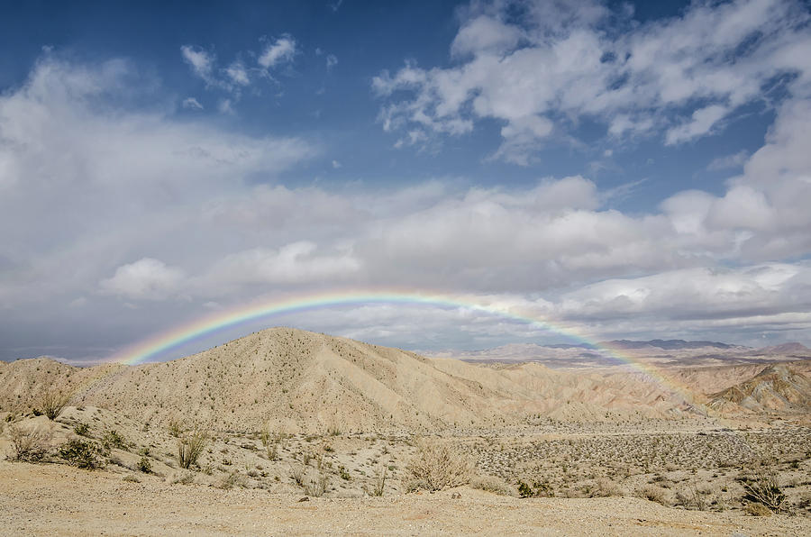 Rainbow in the Desert Photograph by Margaret Pitcher