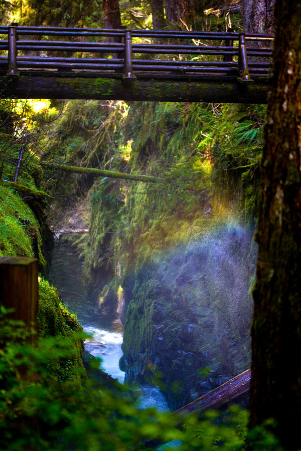 Rainbow In The Mist - At Sol Duc Falls Photograph by Marie Jamieson
