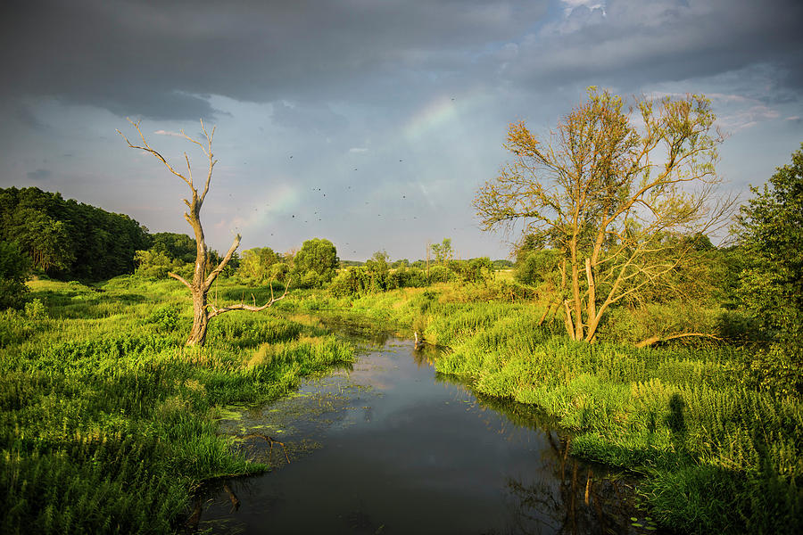 Rainbow Photograph by Jaroslaw Grudzinski