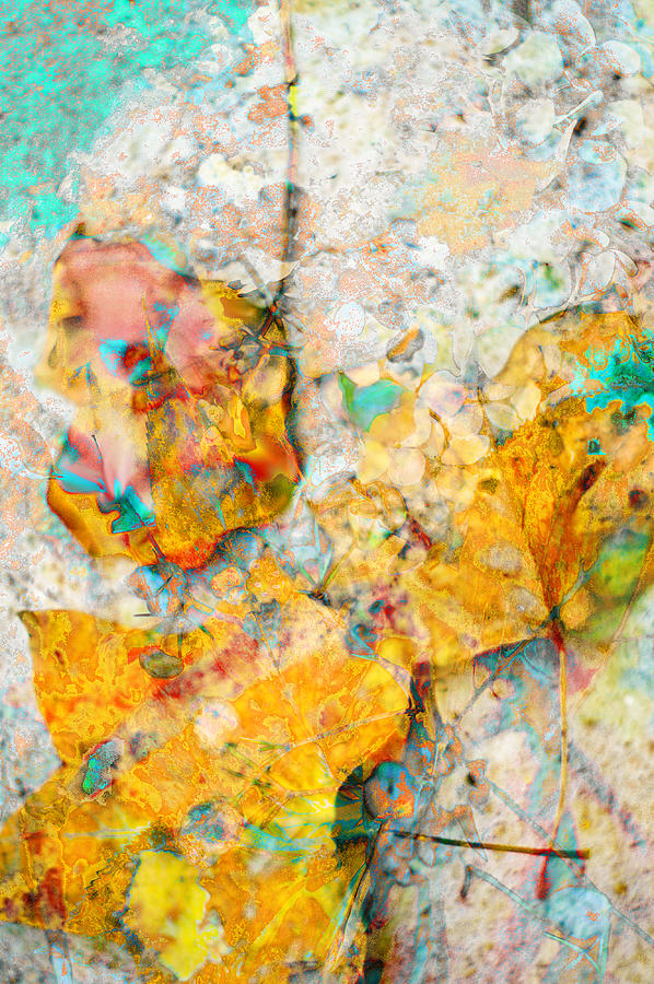 Rainbow Leaf Photograph - Rainbow Leaves Aqua by Suzanne Powers