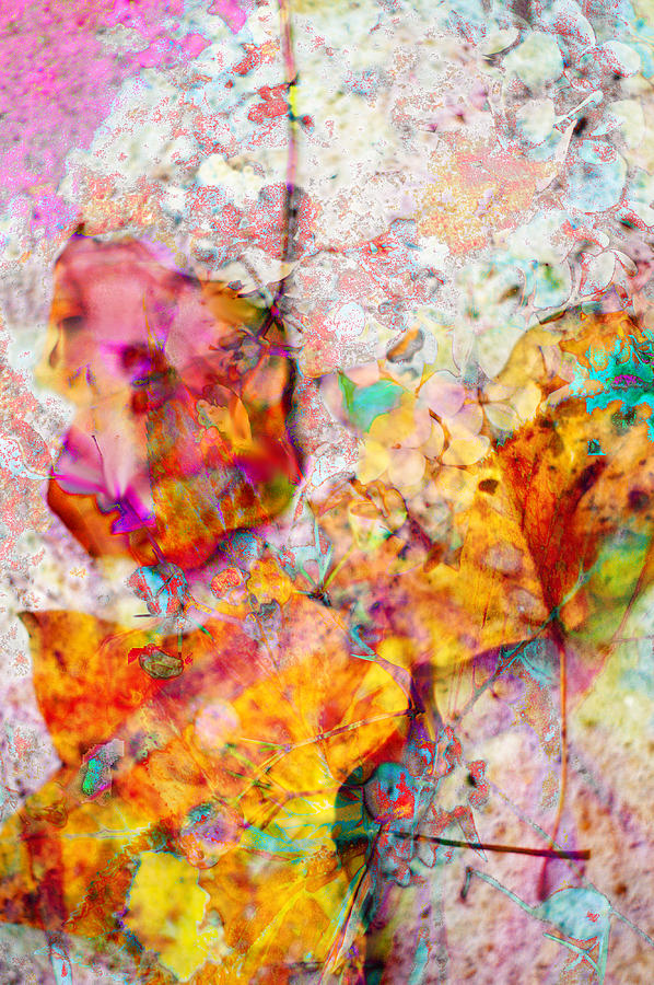 Abstract Leaves Photograph - Rainbow Abstract Leaves by Suzanne Powers