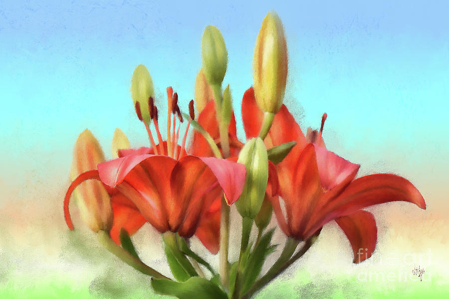 Flower Lily Rainbow Red