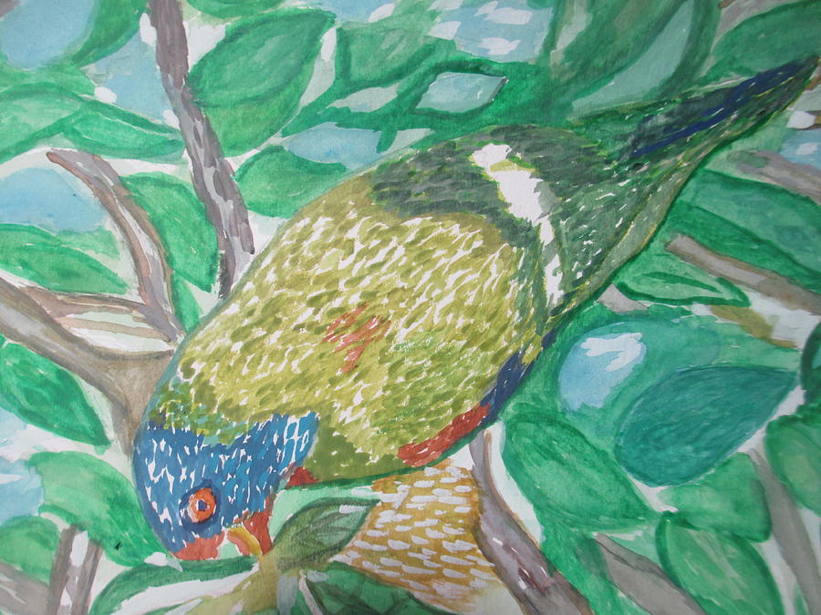 Rainbow Lorikeet Series 1a Painting by Carmela Maglasang - Pixels