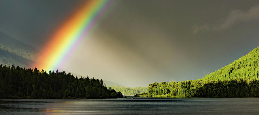 Rainbow Love Photograph by Joy McAdams