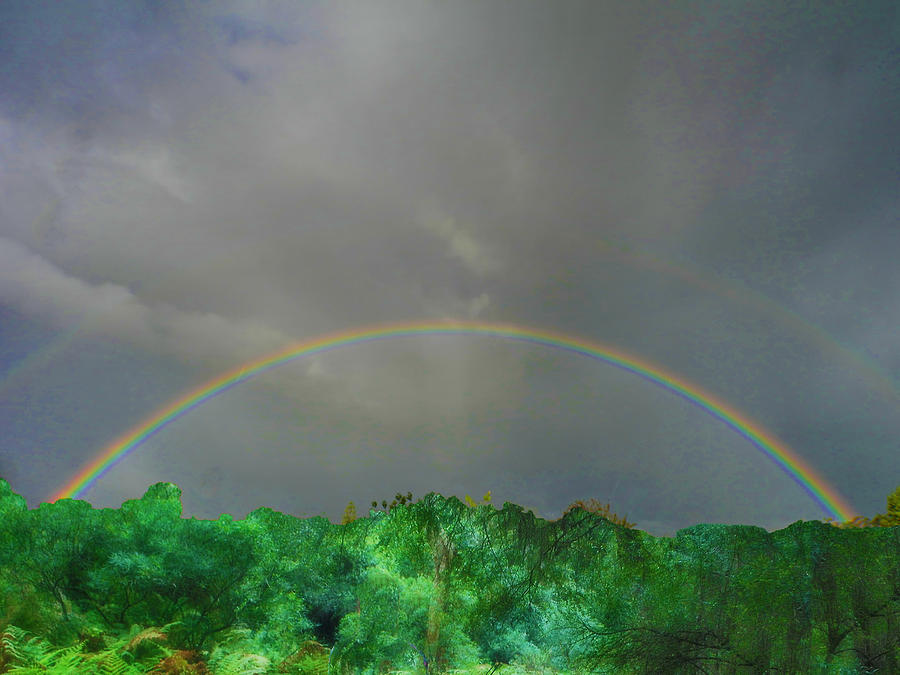 Rainbow Photograph by Mark Blauhoefer