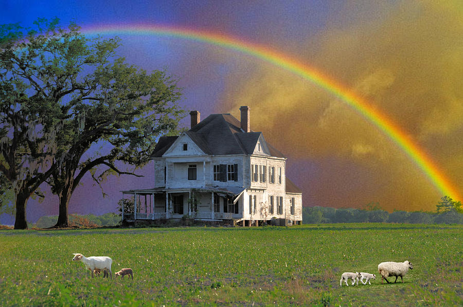 rainbow-meadow-jan-amiss-photography.jpg