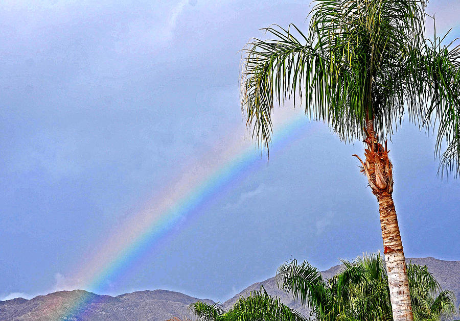 Rainbow Mountains And Palm Trees Photograph by Jay Milo