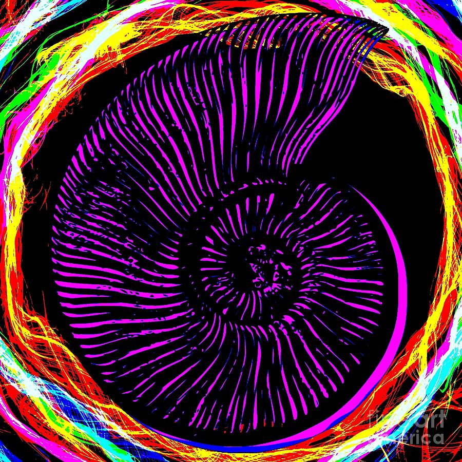 Rainbow Nautilus Shell  Digital Art by Peter Ogden