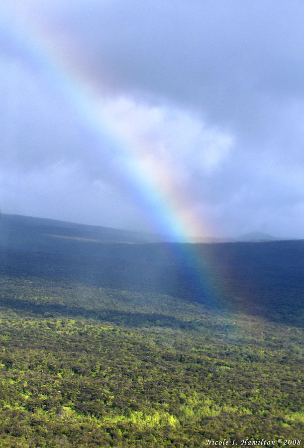 Rainbow Photograph by Nicole I Hamilton