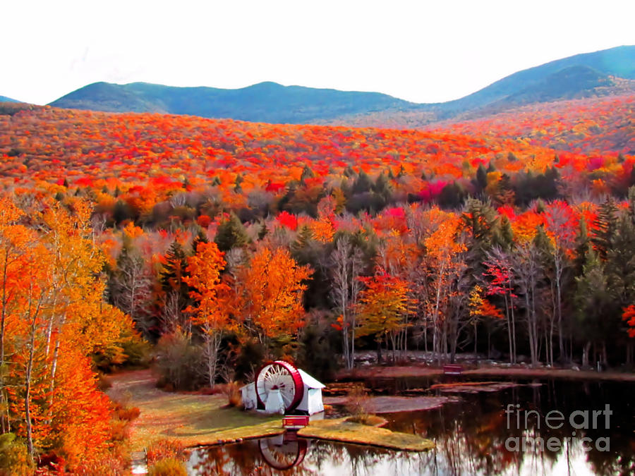 Rainbow of Autumn Colors Photograph by Elizabeth Dow