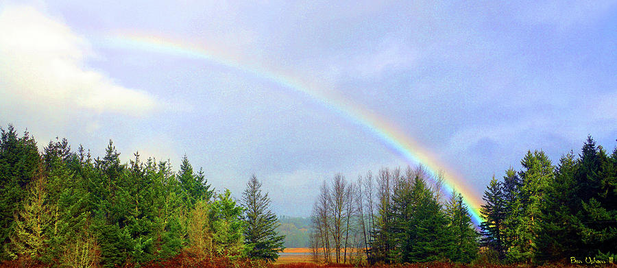 Rainbow of Love Photograph by Ben Upham III