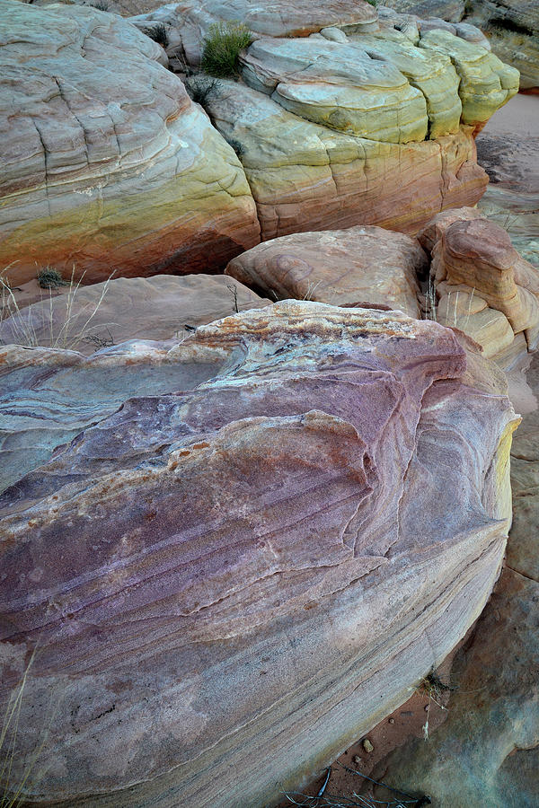 Rainbow of Sandstone in Valley of Fire Photograph by Ray Mathis