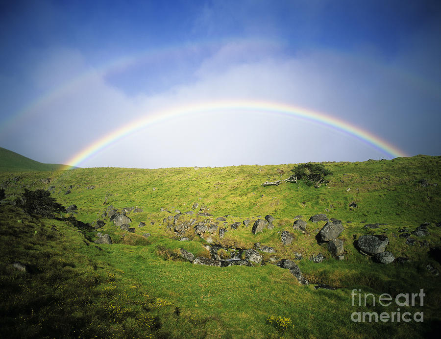 Rainbow on Hillside Photograph by Peter French - Printscapes