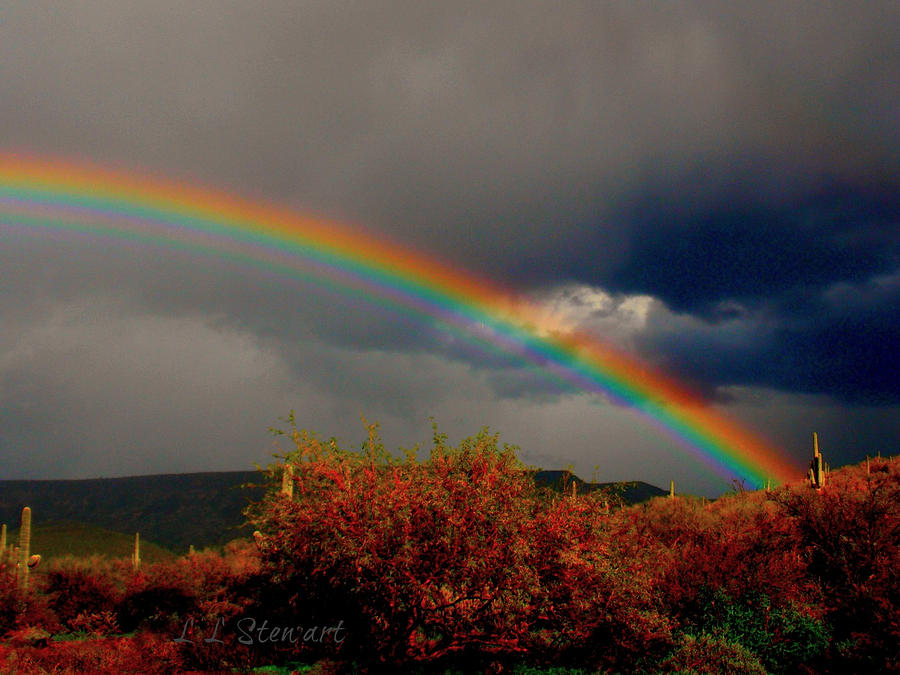Rainbow on The Desert Photograph by L L Stewart