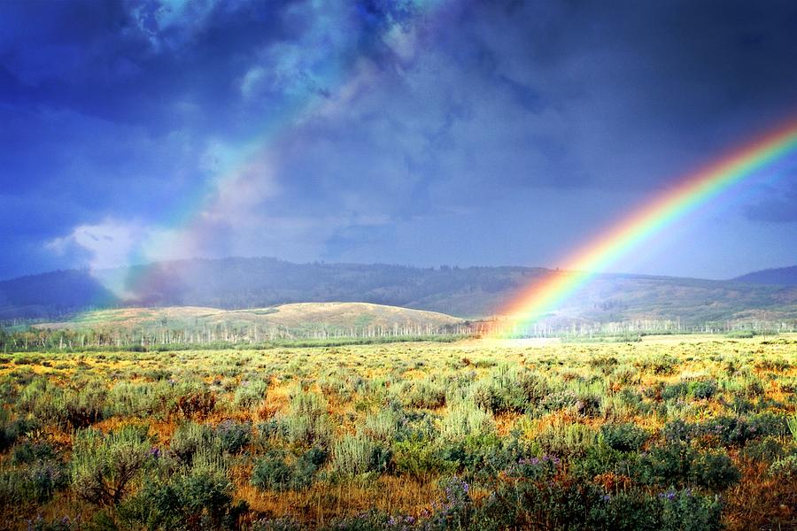 Rainbow on the Sagebrush Photograph by Marty Koch