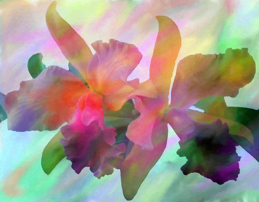 Rainbow Orchids Digital Art by Don Wright