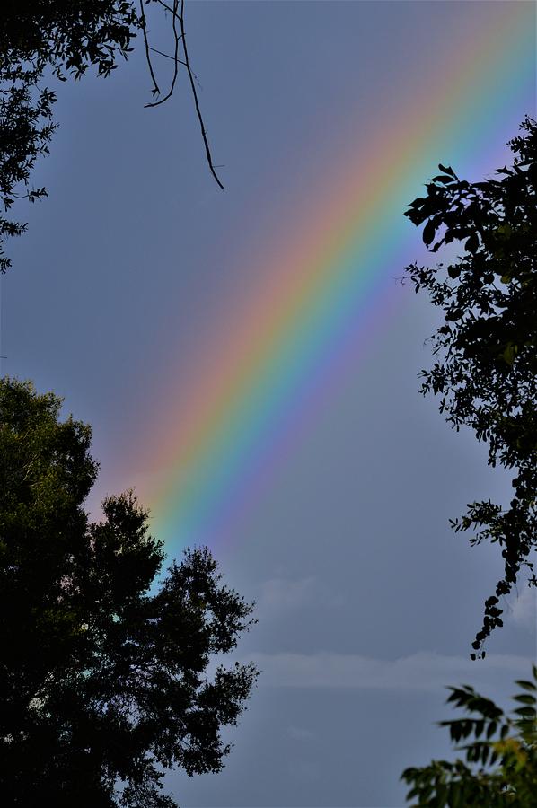 Rainbow Over Florida Photograph by Warren Thompson