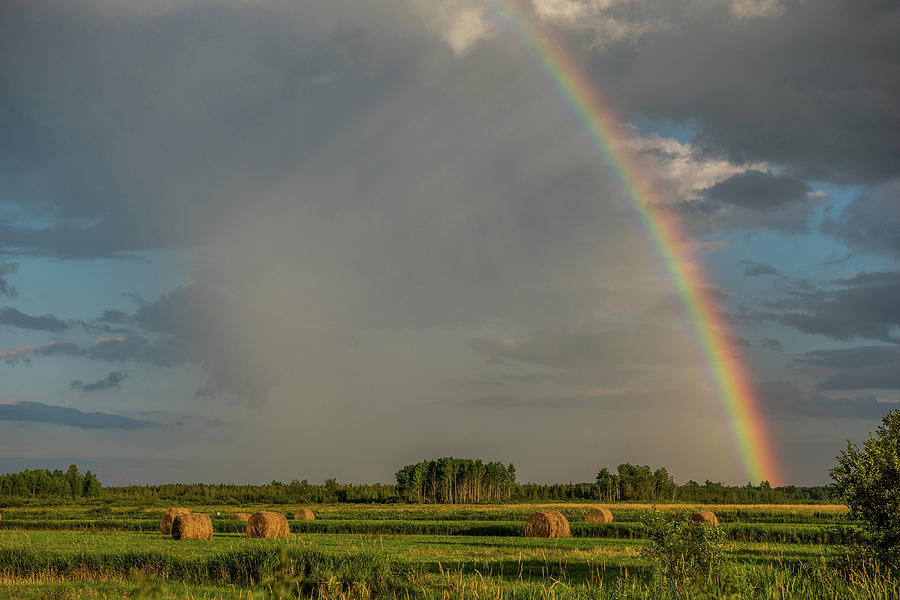Rainbow Over Hay field Photograph by Paul Freidlund