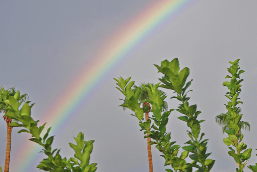 Rainbow Over Home Photograph by Jay Milo