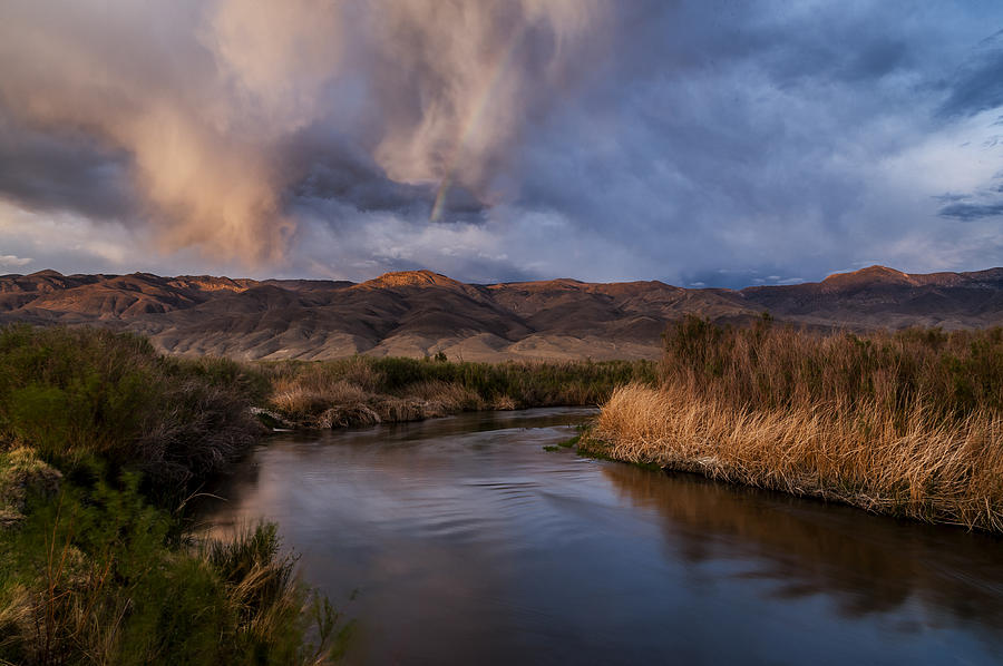 Nature Photograph - Rainbow over Lower Owens River by Cat Connor